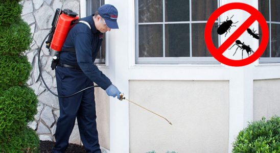 Bartın Kemirgen İlaçlama böcek ilaçlama ve haşere kontrolü — ilaclama-tr.com
